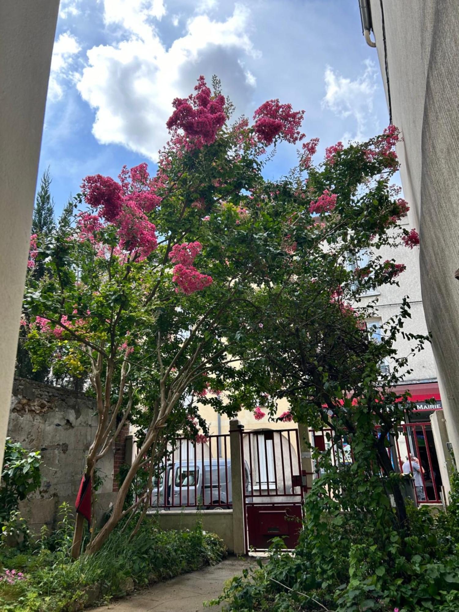Chambre 14M2 Massy  Εξωτερικό φωτογραφία